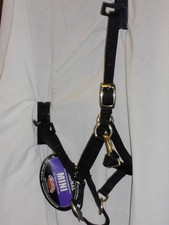 weaver miniature horse adjustable chin halter black