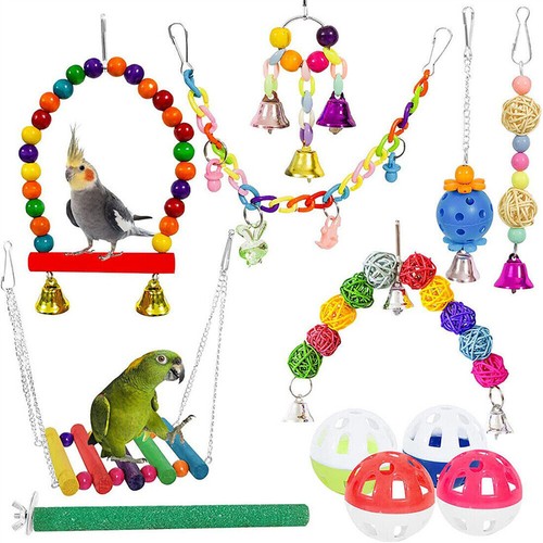Pack parrot toys - parrot, set