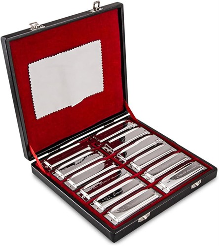 Blues harmonica set 10 - set,