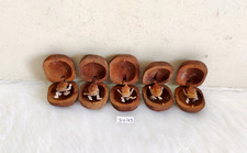 Vintage Wooden Litchi Fruit Hidden Moving Ganesha Inside Scary Kids Toy - 49