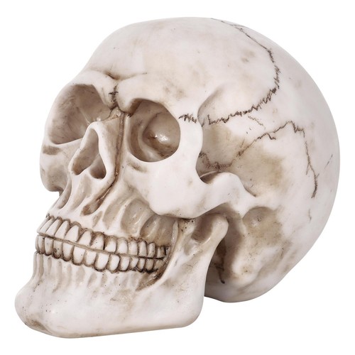 Vinsani life size replica - vinsani®, life-size