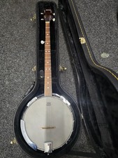 remo weather king 5string