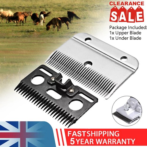 Heavy duty medium - heavy-duty, horse