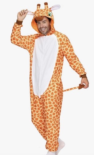 One piece fancy dress - one,