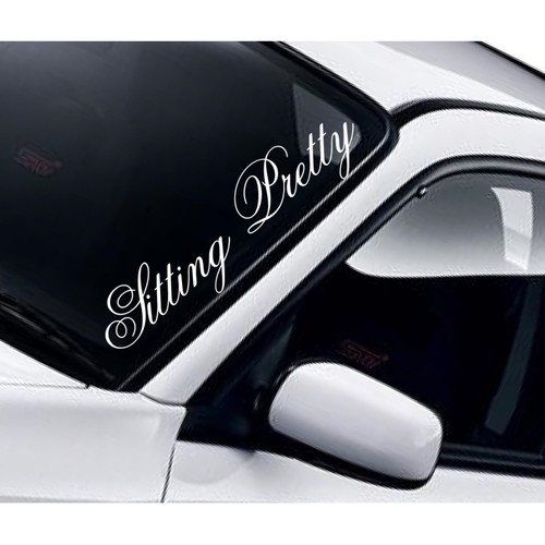 Sitting pretty windscreen - pretty,