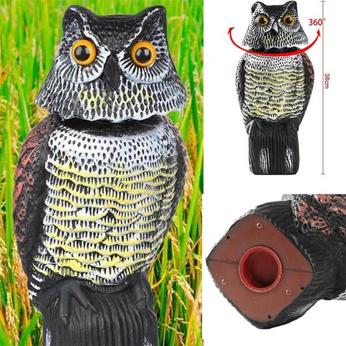 Realistic owl decoy deterrent - decoy,