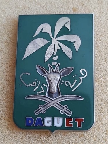 French foreign legion gulf - french,