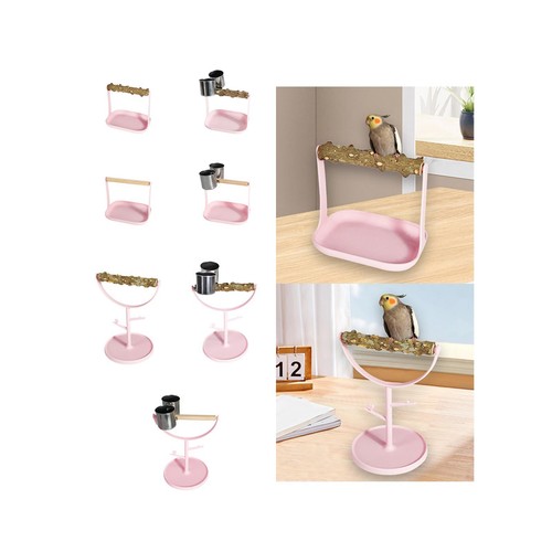 Parrot play stand bird - parrot,