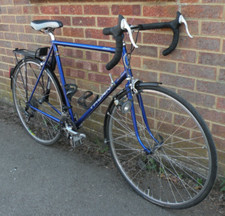 59cm Thorn Audax in Reynolds