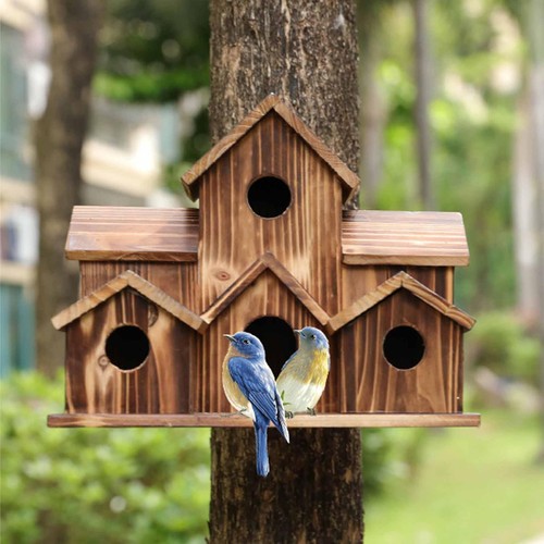 Wooden bird houses hanging - bird, 6
