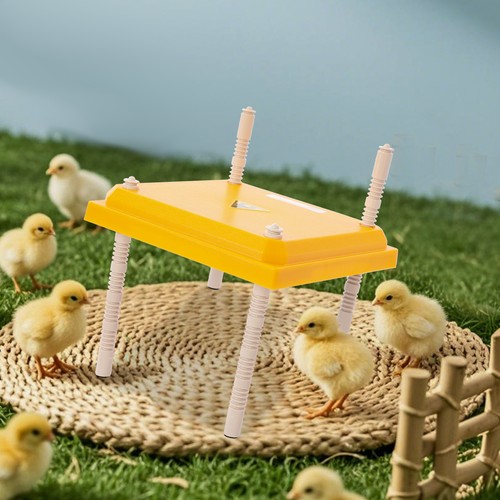Chick brooder heating - chick,