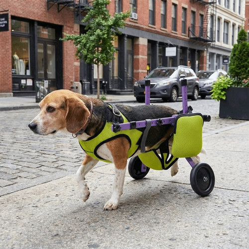 Breathable dog wheelchair hind - breathable,