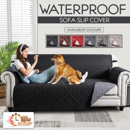 Couch cover sofa - couch,