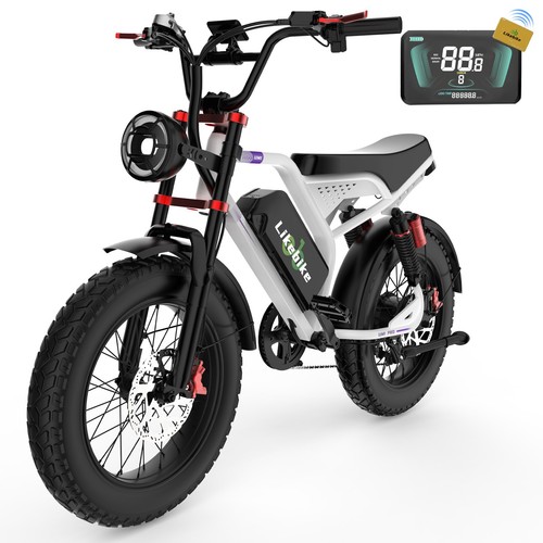 Electric bike for adults - adults, 3000w