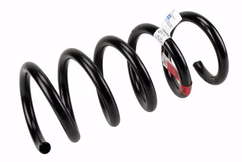 Genuine rear coil spring - gm,