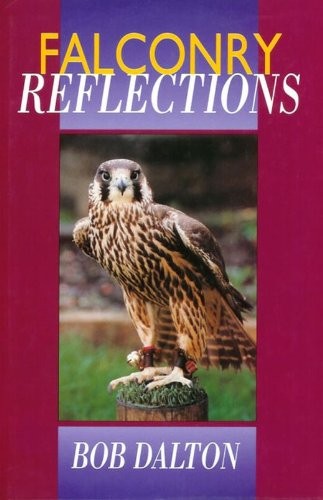 Falconry reflections - falconry,