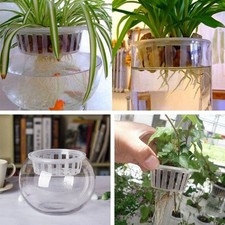 Long lasting Plastic Mesh Pot