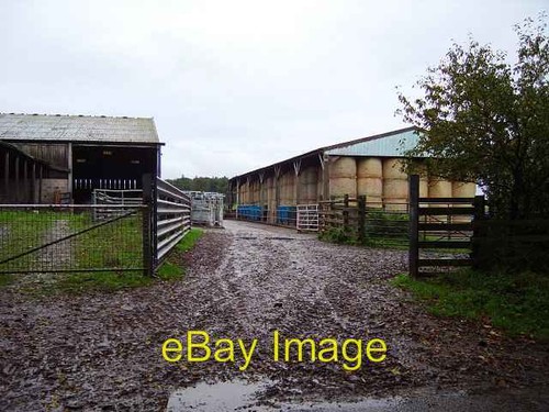 Photo 6x4 billie mains - photo,