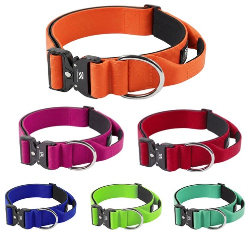 Heavy duty tactical dog - heavy, collar