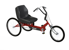 Tomcat Special Needs Dragon