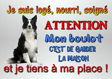 chien border metal collie attention plate 29x20cm pierced ref 51board
