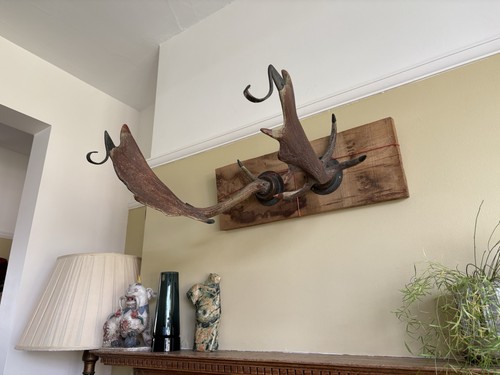 Antique victorian deer - antique,