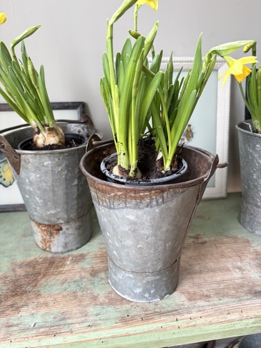 Vintage galvanised small - ,