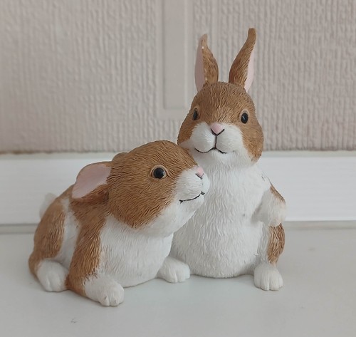 Shudehill small brown white - shudehill,