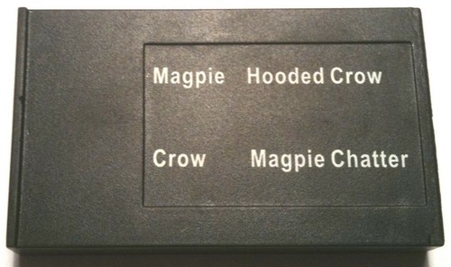 Crow and magpie - and, for