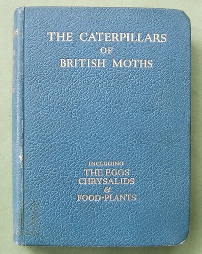 The caterpillars british - the,