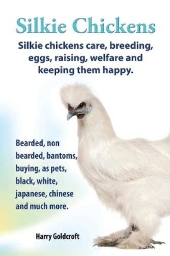 Harry goldcroft silkie - goldcroft,