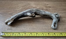 Natural Isle of Wight