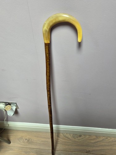 Shepherds crook rams - rams, horn