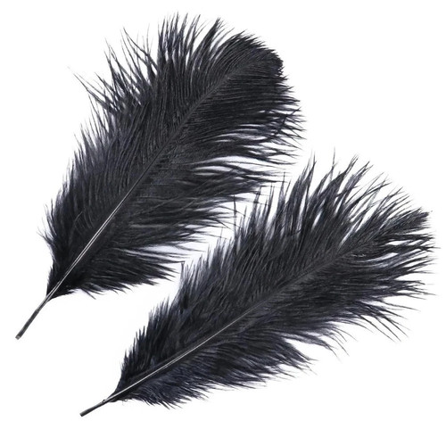 10pcs large ostrich - large,