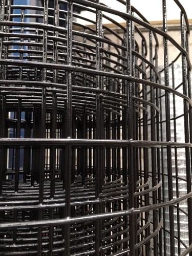 Welded wire mesh - black, /