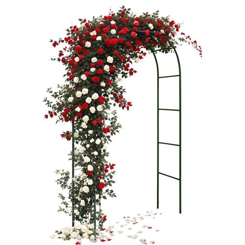 Garden arch trellis - 2.4m,