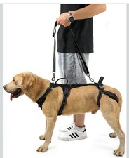 Mobility Dog Lift Harness