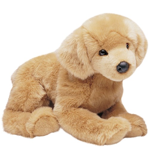 Douglas honey golden retriever - honey,
