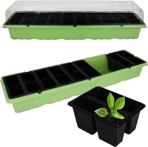 Cell propagator tray lid - propagator,