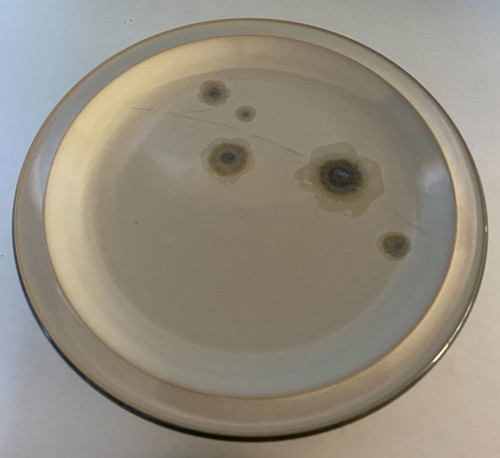 Denby langley smokestone - 4, x