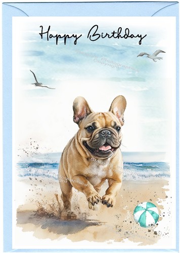 French bulldog frenchie 4 - french, (4"x