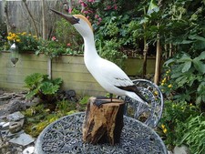 Large wooden gannet sculpture - large,