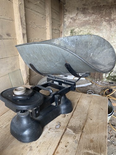 Vintage potato scales - potato, ideal
