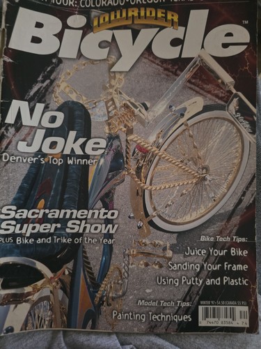 Winter 1997 lowrider bicycle - winter,