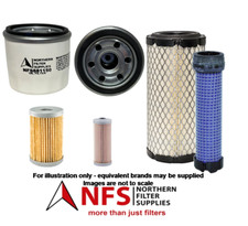 NFS Filter Kit fits THWAITES 1T with Yanmar 3TNV76 Engine