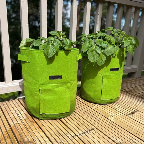 Potato grow bags - 2,