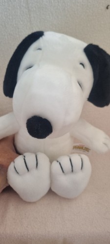 B58 aurora peanuts - -, snoopy