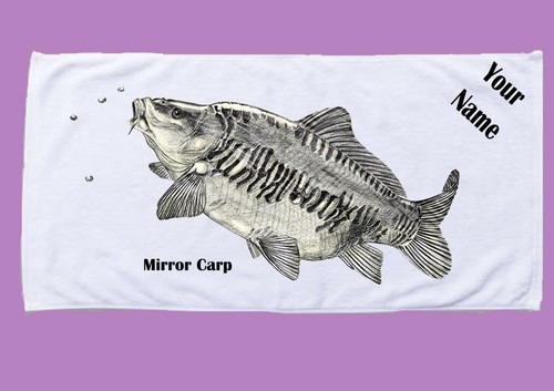 Mirror carp drawing - mirror,