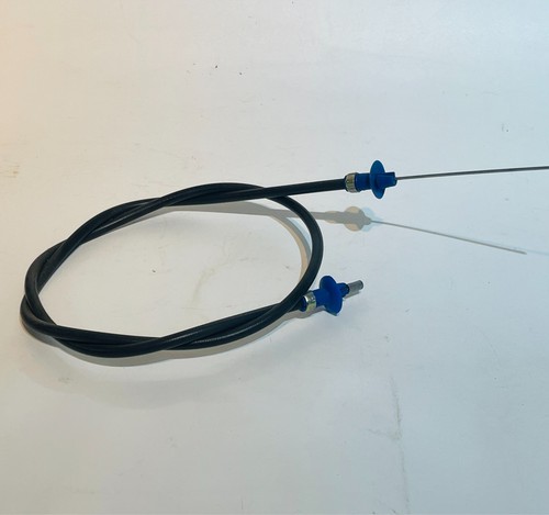 25168 reliant fox - 25168, kitten