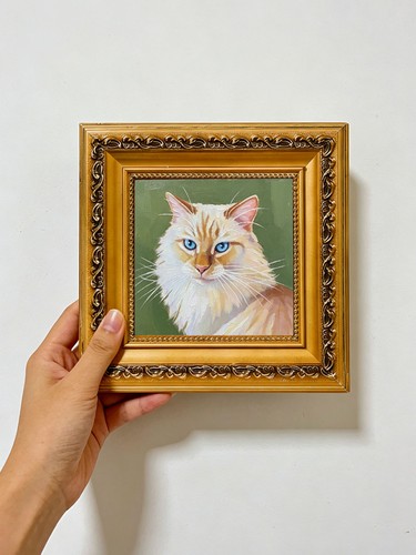 Long haired cat - with, bright